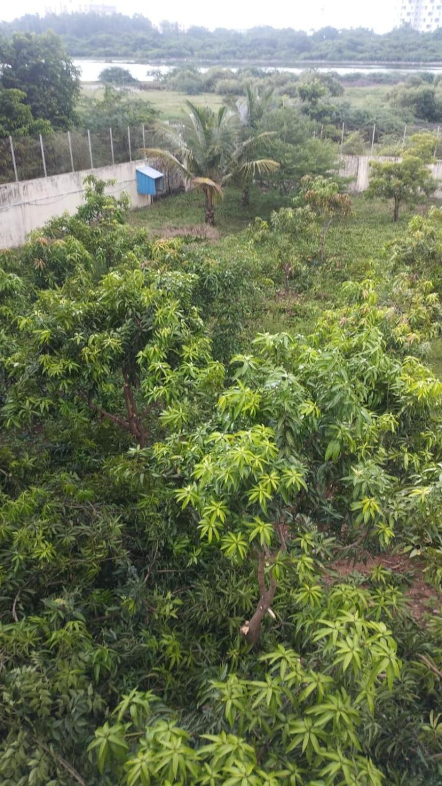 The Lake Farm House Villa Chennai Bagian luar foto